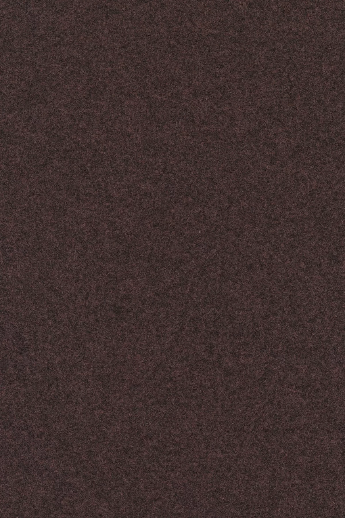 Divina melange 3, 677